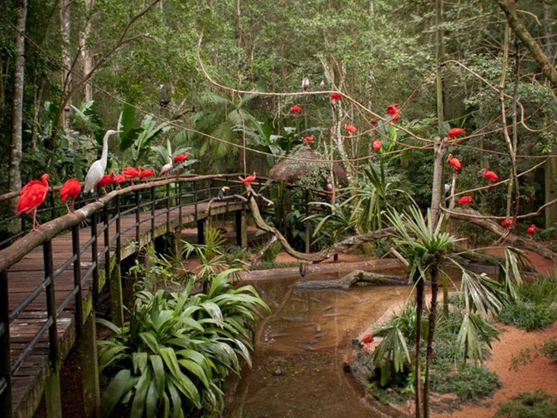 Parque das Aves